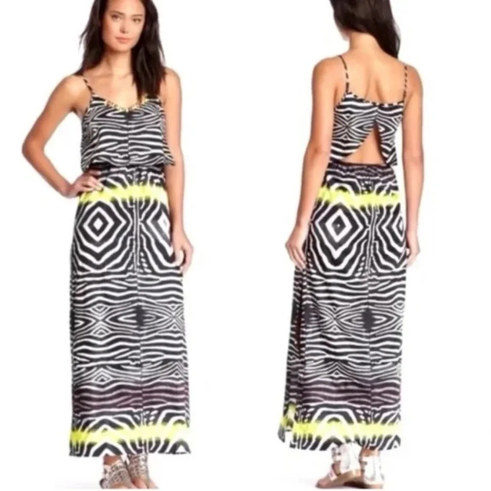 Line & Dot Zebra Print Maxi Dress/Multicolor, 16826